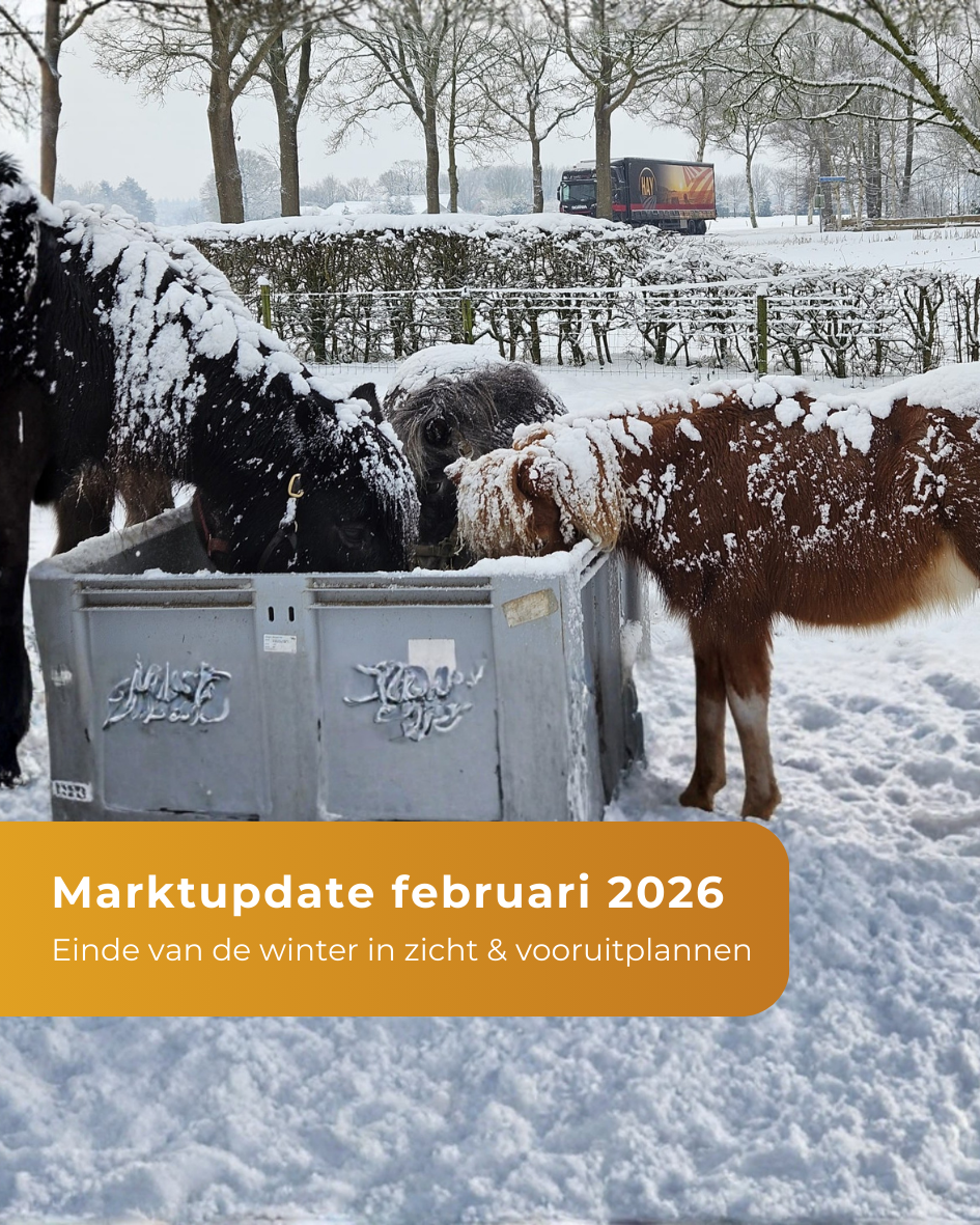 marktupdate februari